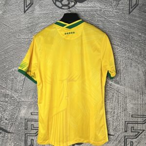 لباس کانسپت برزیل 2022 مدل ریو هواداری